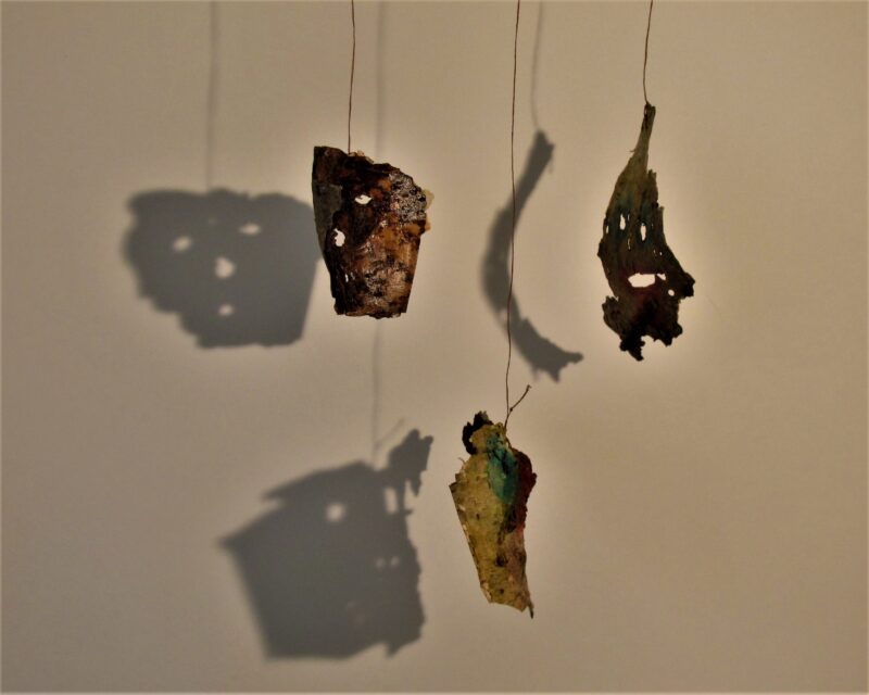 Forest Shadows 12 2019